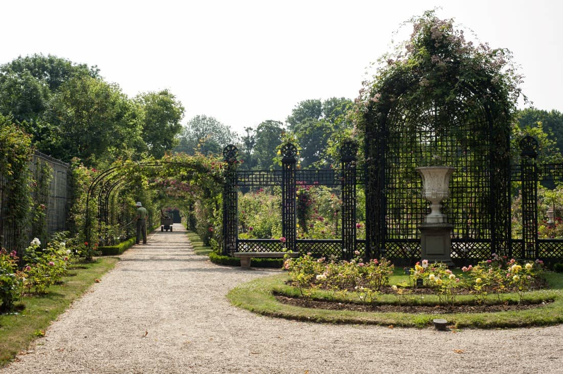 Jardinier travaillant la Roseraie du Val-de-Marne