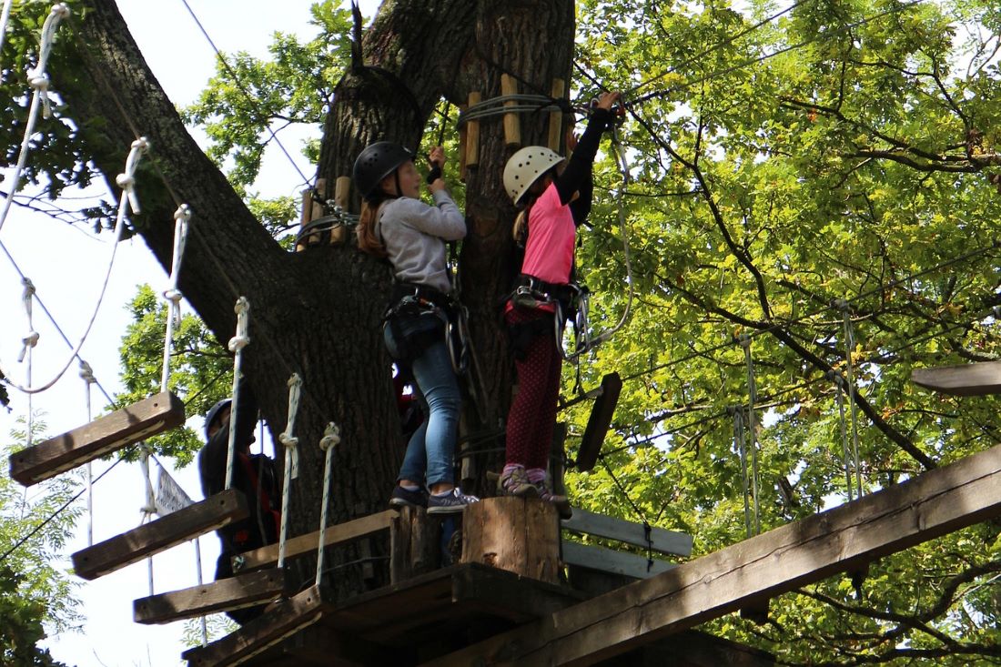Deux enfants suspendus à un arbre en train de faire un parcours d'accrobranche