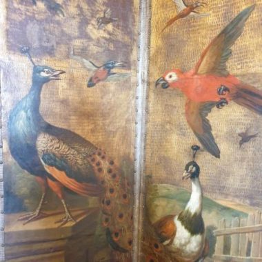 Les animaux dans le château de Grosbois : un vrai trésor